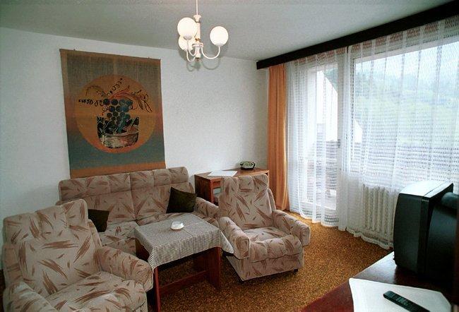 Hotel Petr Bezruc Frýdlant nad Ostravicí Værelse billede