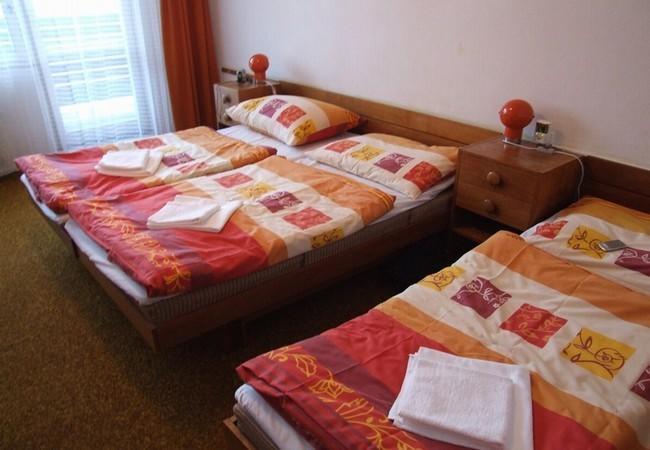 Hotel Petr Bezruc Frýdlant nad Ostravicí Værelse billede